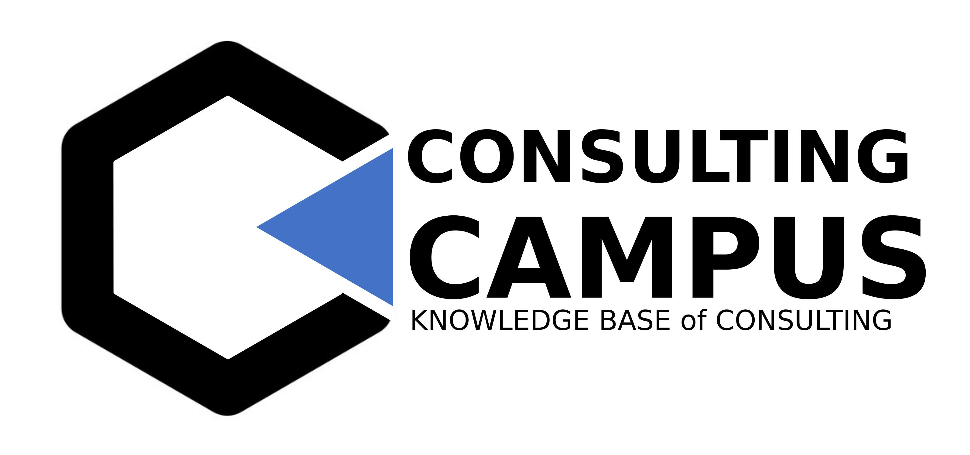 site log of consulting-campus.site